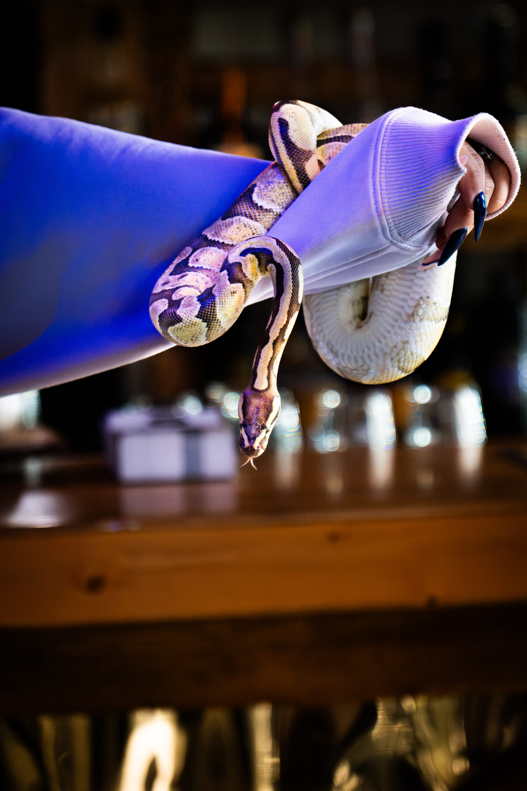 DSC03007-Enhanced-NR